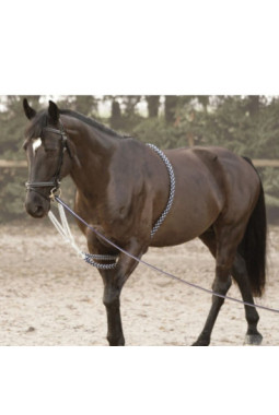 Enrênement SOFT ROPE CANTER