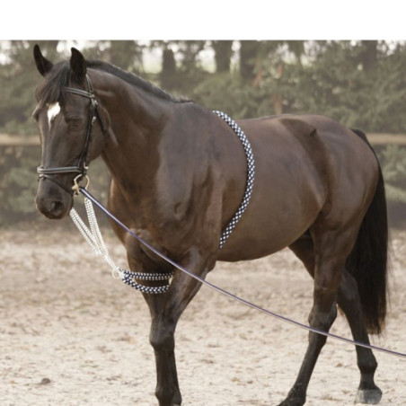 Enrênement SOFT ROPE CANTER