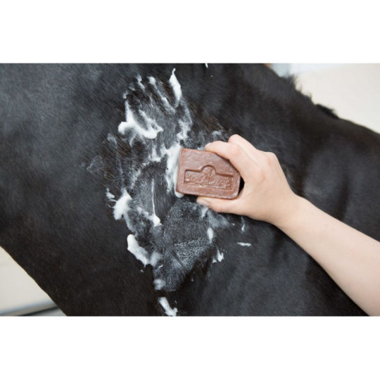 SAVON ANTI DÉMANGEAISON KEVIN BACON'S ACTIVE SOAP