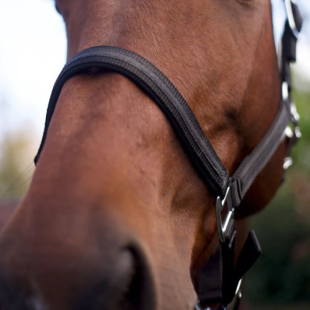 Set de licol et longe ATAMIK NOIR