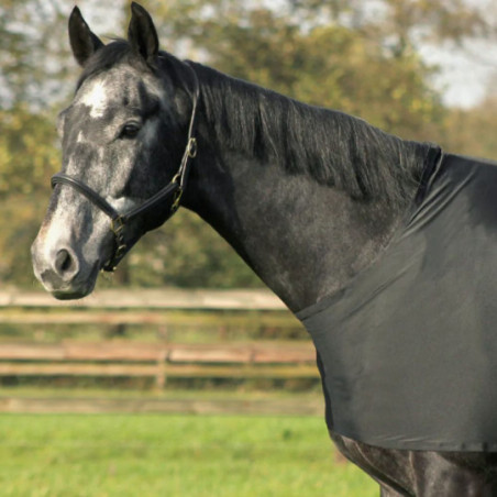 Protection de poitrail et épaules élastique