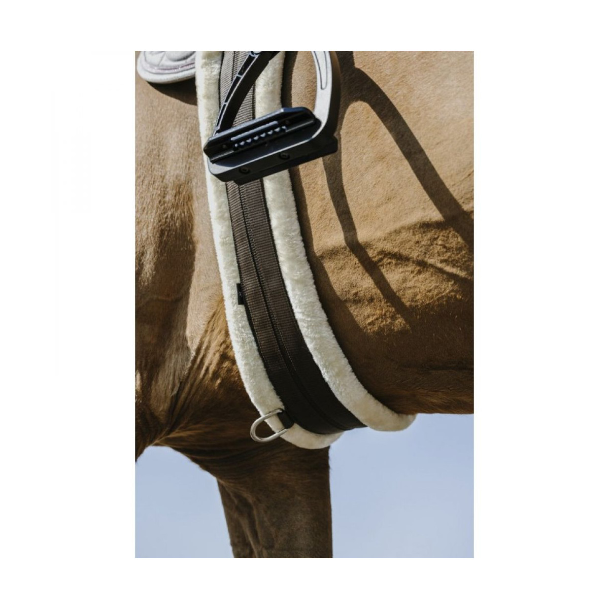 Sangle élastique NORTON Smooth marron