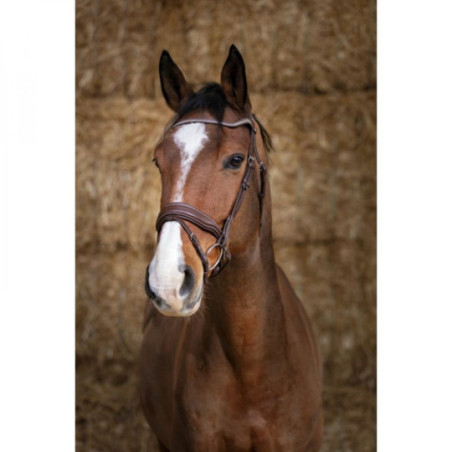 Bridon NORTON PRO Miss