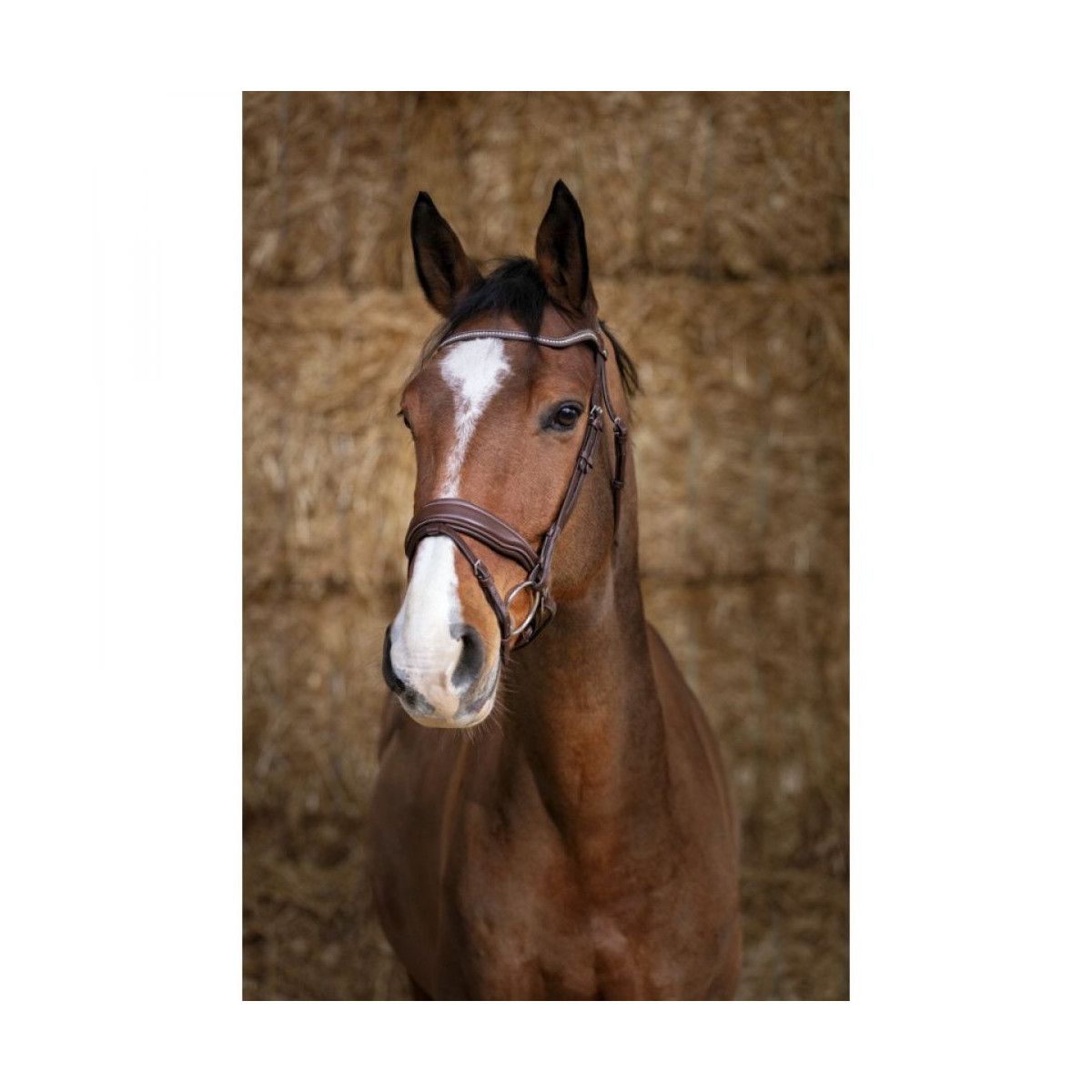 Bridon NORTON PRO Miss