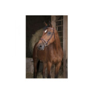 Bridon NORTON PRO Fin Havane