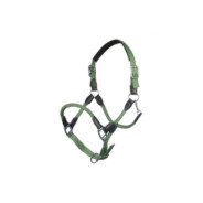 Licol carlotta JADE GREEN