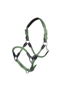 Licol carlotta JADE GREEN