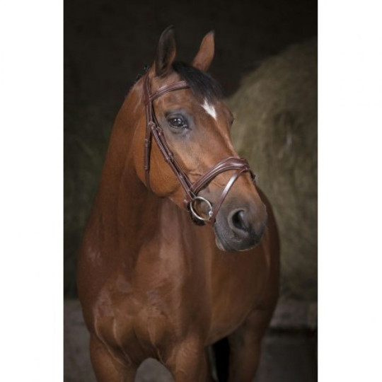 Bridon NORTON PRO Vague marron