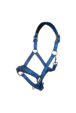 Licol -Amalfi- bleu electrique