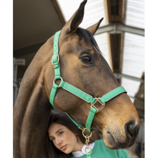 Hansy Licol et Longe Emerald Green