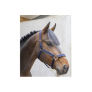 Hansy Licol et Longe Navy Gold