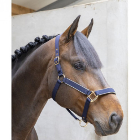 Hansy Licol et Longe Navy Gold