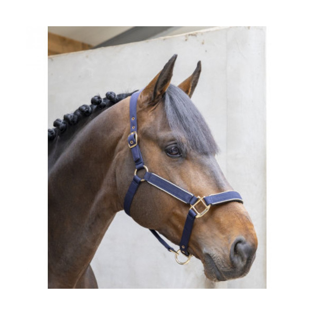 Hansy Licol et Longe Navy Gold