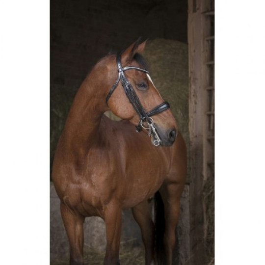 Bride NORTON PRO Noir