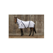 Chemise anti-insectes EQUITHÈME - Mesh combo