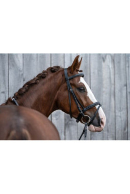 Bridon -Jana- Marron