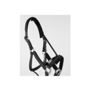 Licol et Longe AMOUR Noir