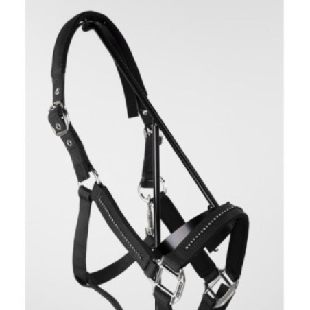 Licol et Longe AMOUR Noir