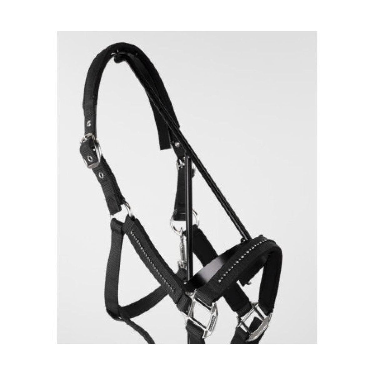 Licol et Longe AMOUR Noir