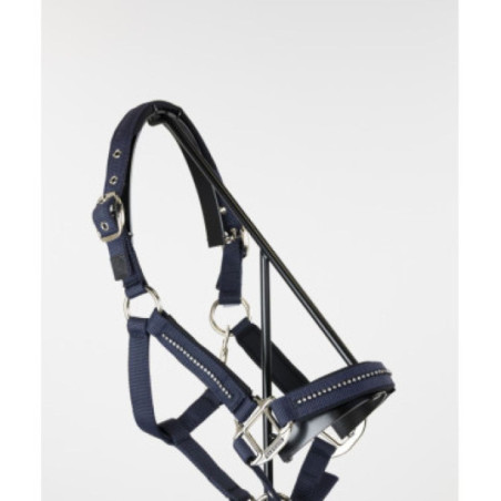 Licol et Longe AMOUR Navy