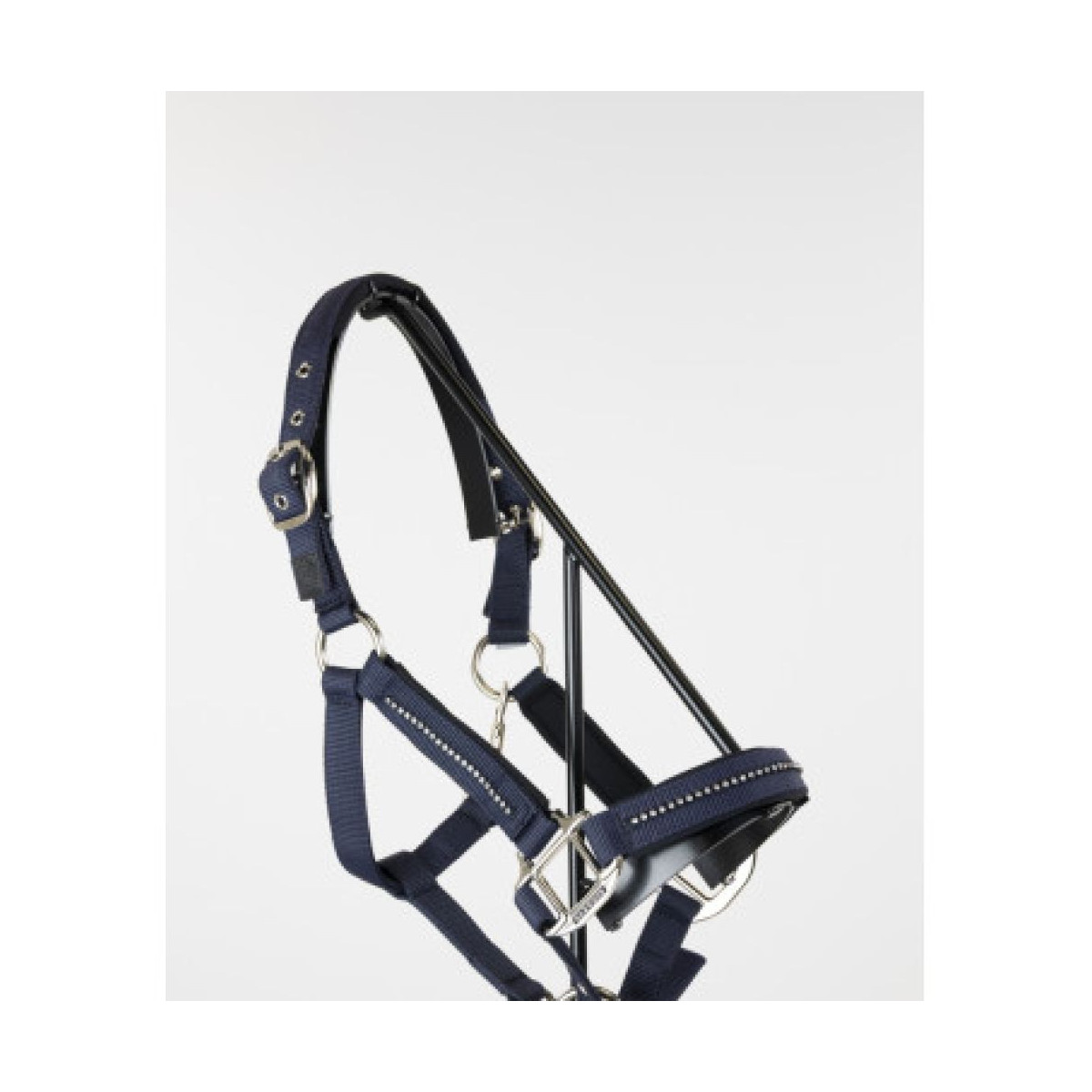 Licol et Longe AMOUR Navy