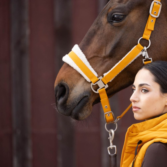 Licol -Arezzo- Moutarde