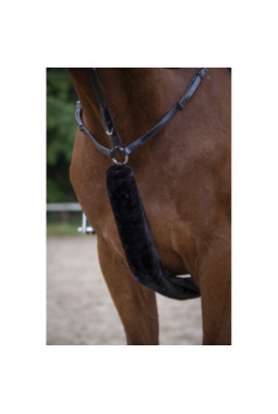 Fourreau de collier de chasse EQUITHÈME - Teddy FULL