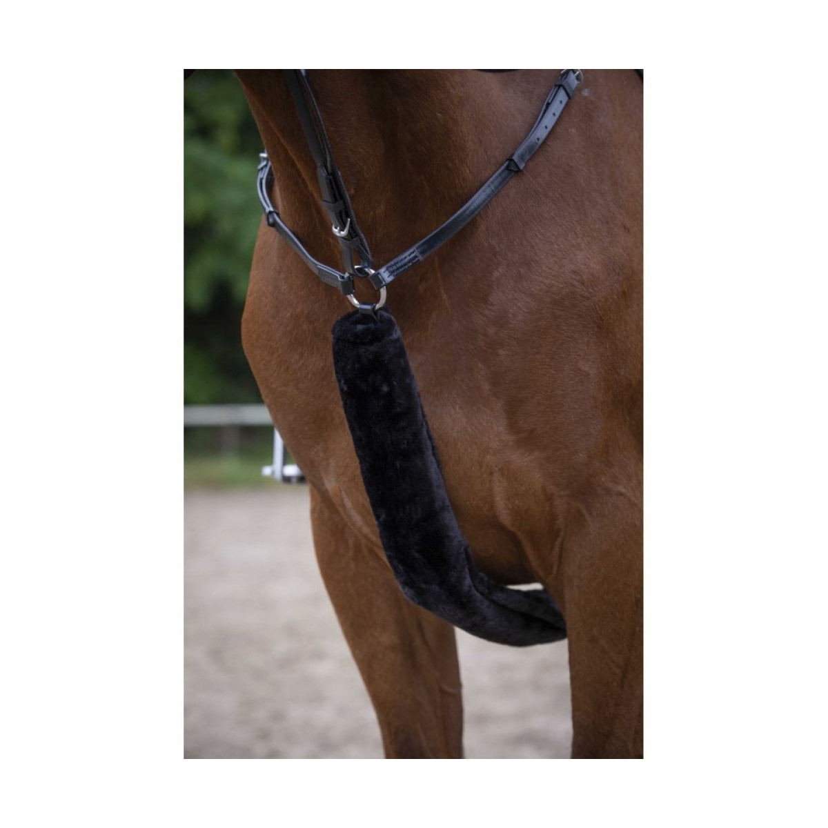 Fourreau de collier de chasse EQUITHÈME - Teddy FULL
