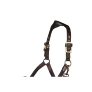 Licol Luna cuir et nylon Marron