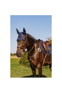 Collier de chasse NORTON PRO 5 points Marron