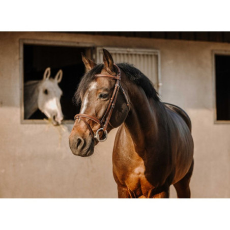 Bridon ERIC THOMAS - Crown