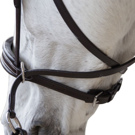 Bridon CANTER bitless Evolution Marron