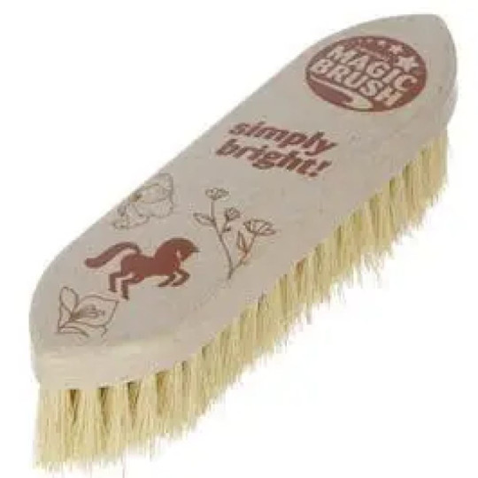 MagicBrush Brosse dure GM WaterLily 22*6*4