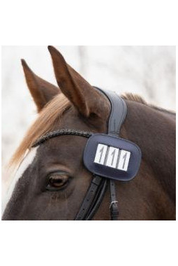 Porte numéro Modeste square