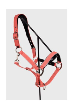 Bamara Licol - Pamplemousse