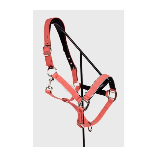 Bamara Licol - Pamplemousse