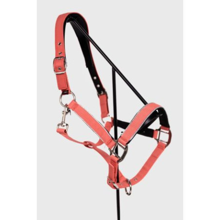 Bamara Licol - Pamplemousse