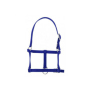 LICOL FOAL RIDING WORLD