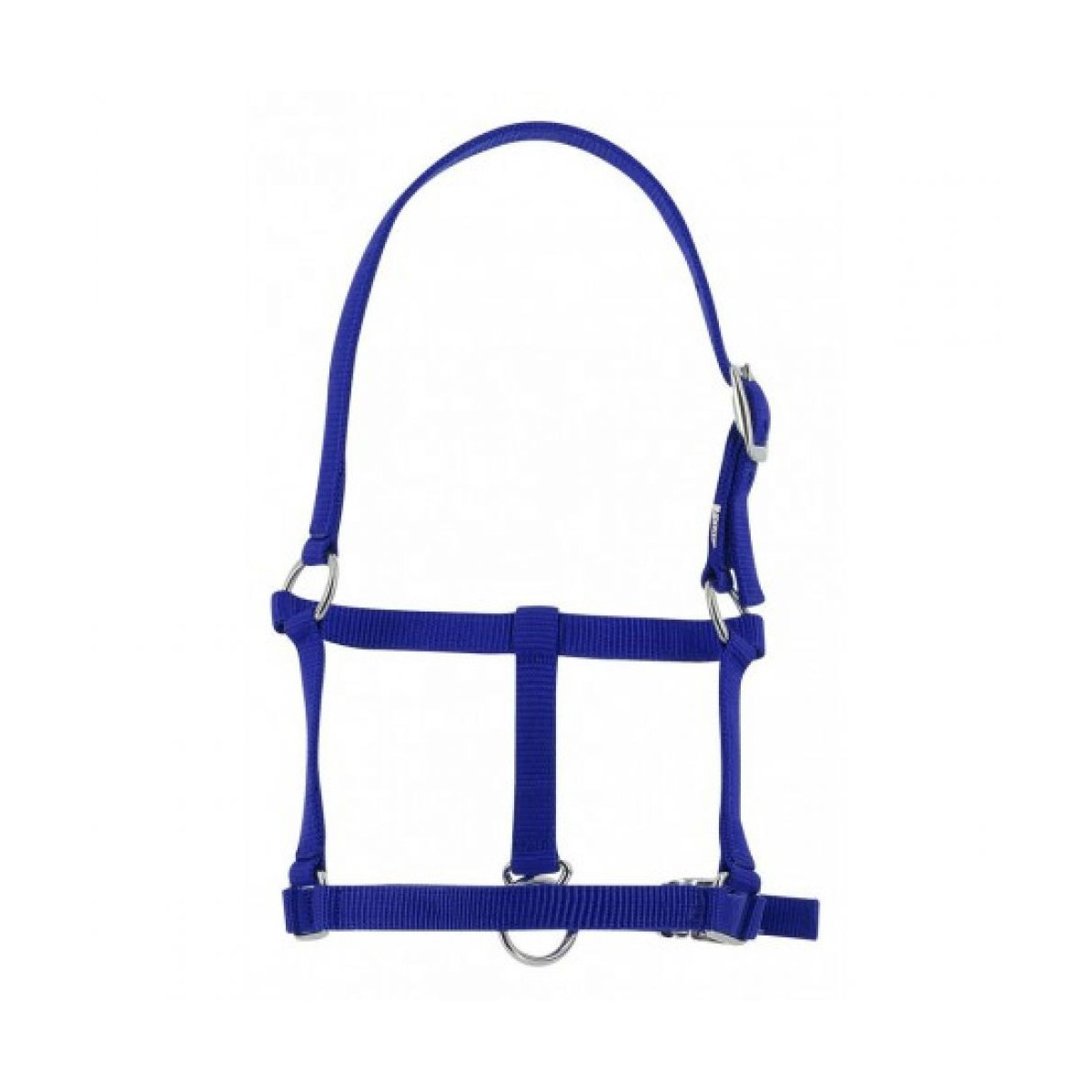 LICOL FOAL RIDING WORLD