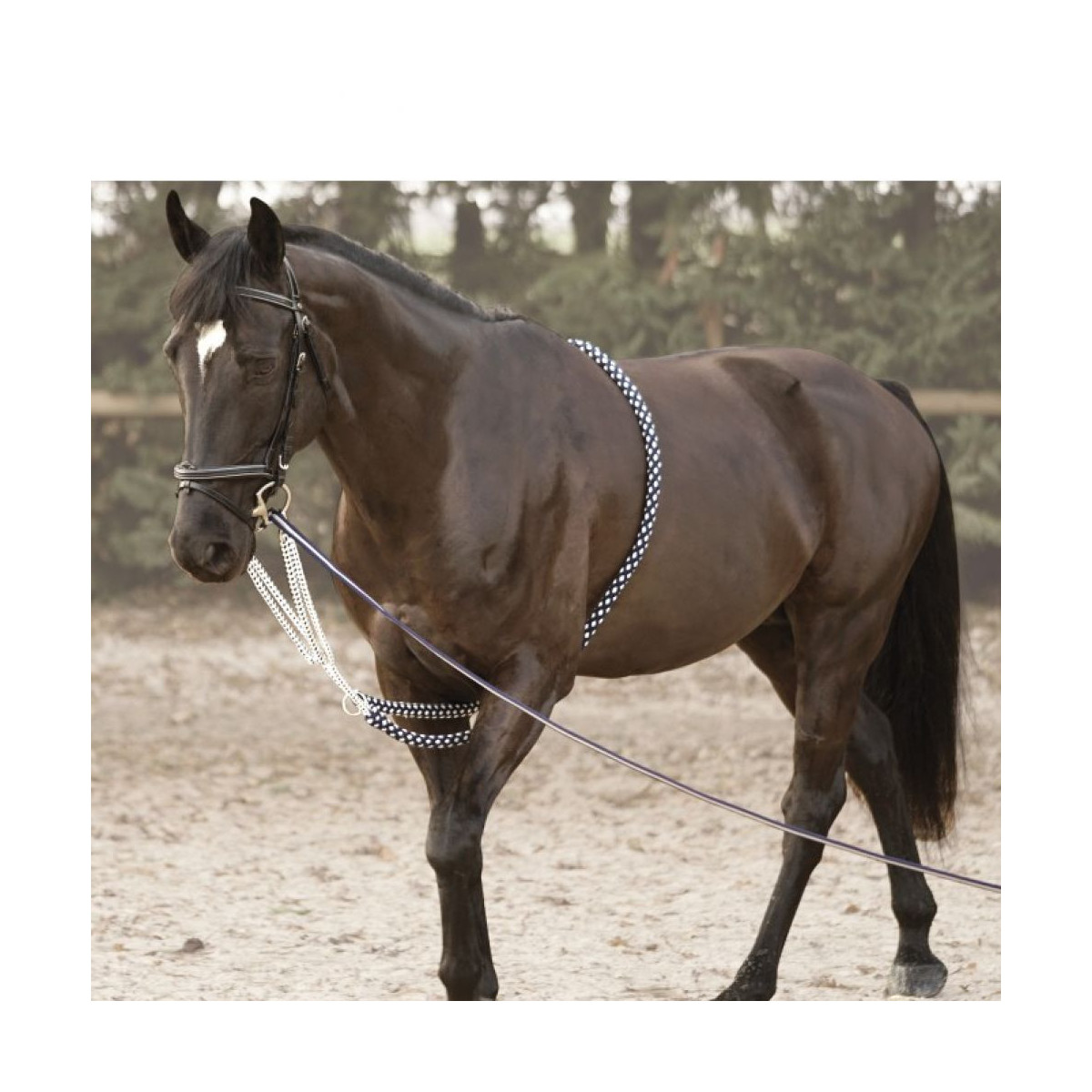 Enrênement SOFT ROPE CANTER