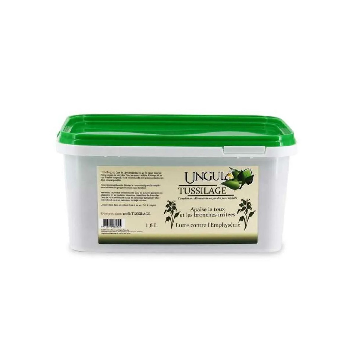 Tussilage 1.6L