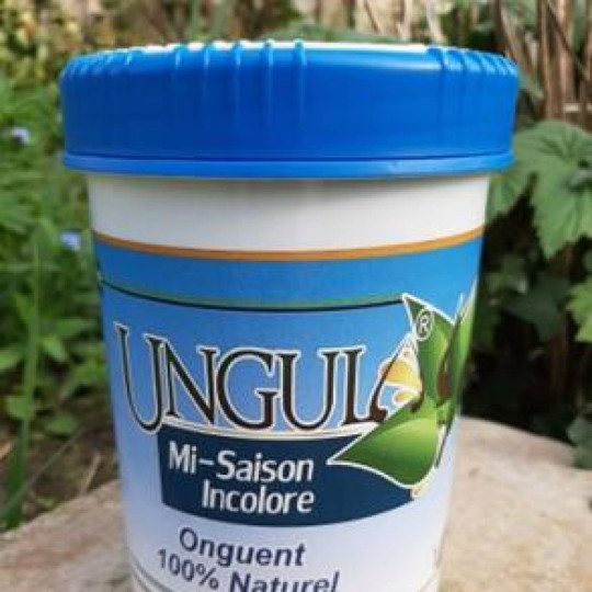 Onguent mi saison incolore 1L