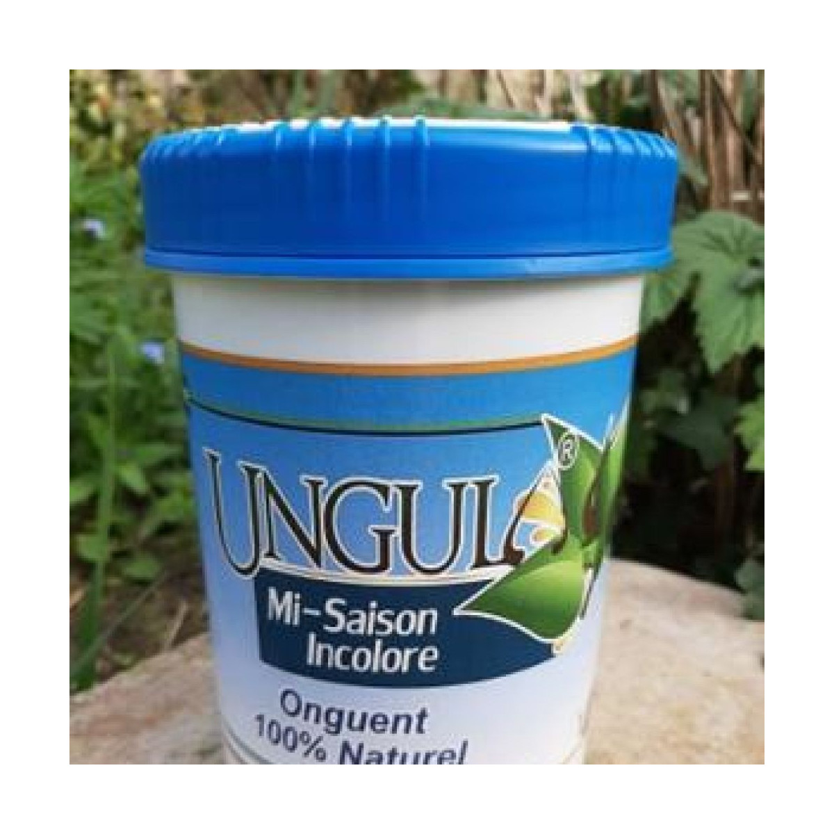 Onguent mi saison incolore 1L