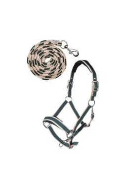 Set de licol mousqueton Kopenhagen COB