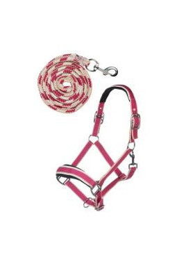 Set de licol mousqueton Kopenhagen PONEY