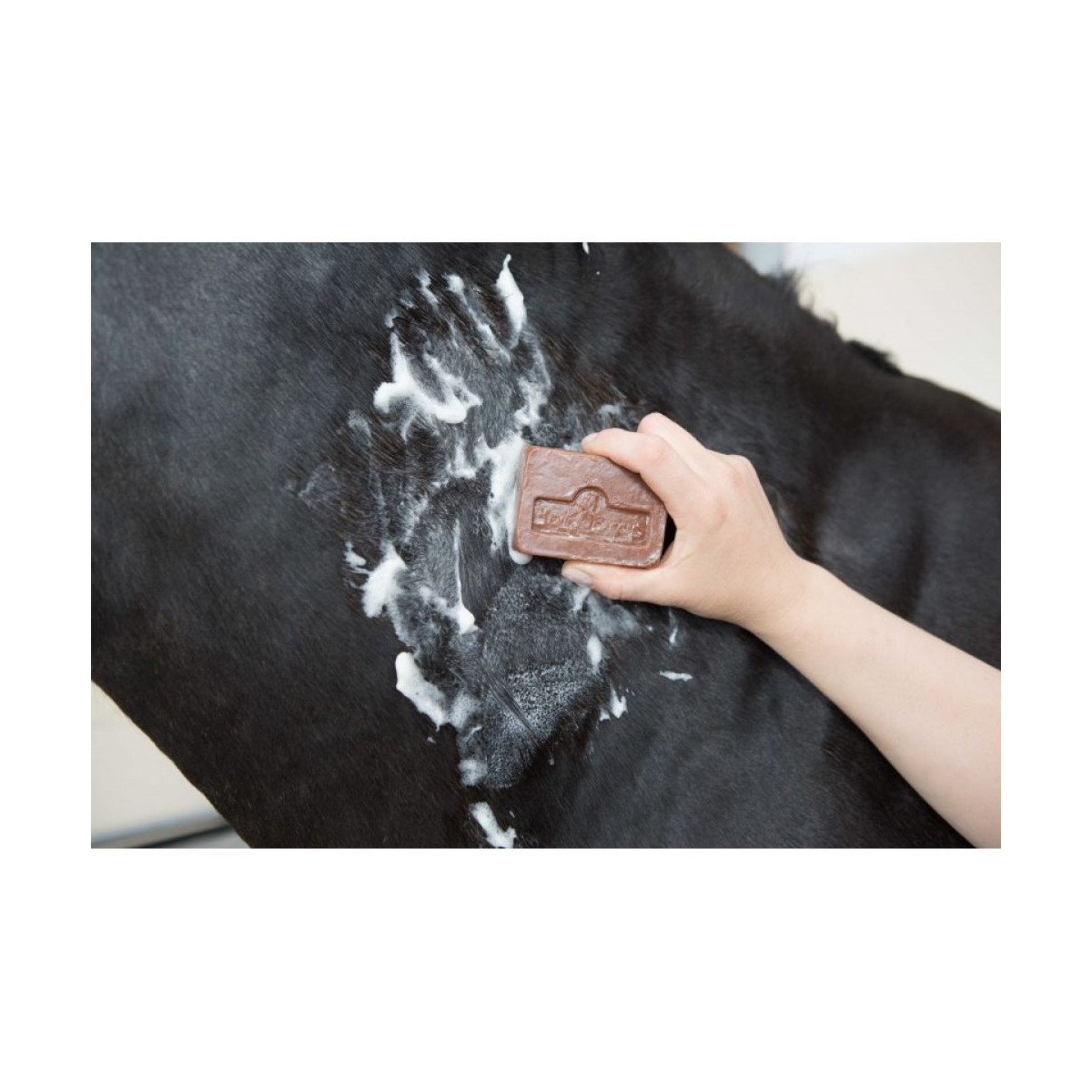 SAVON ANTI DÉMANGEAISON KEVIN BACON'S ACTIVE SOAP