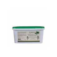 Spiruline vermicelle 1kg ungula