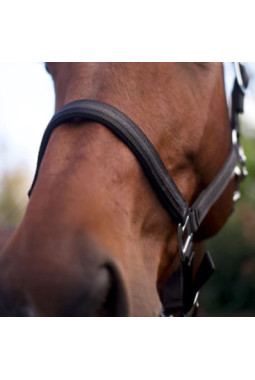 Set de licol et longe ATAMIK NOIR