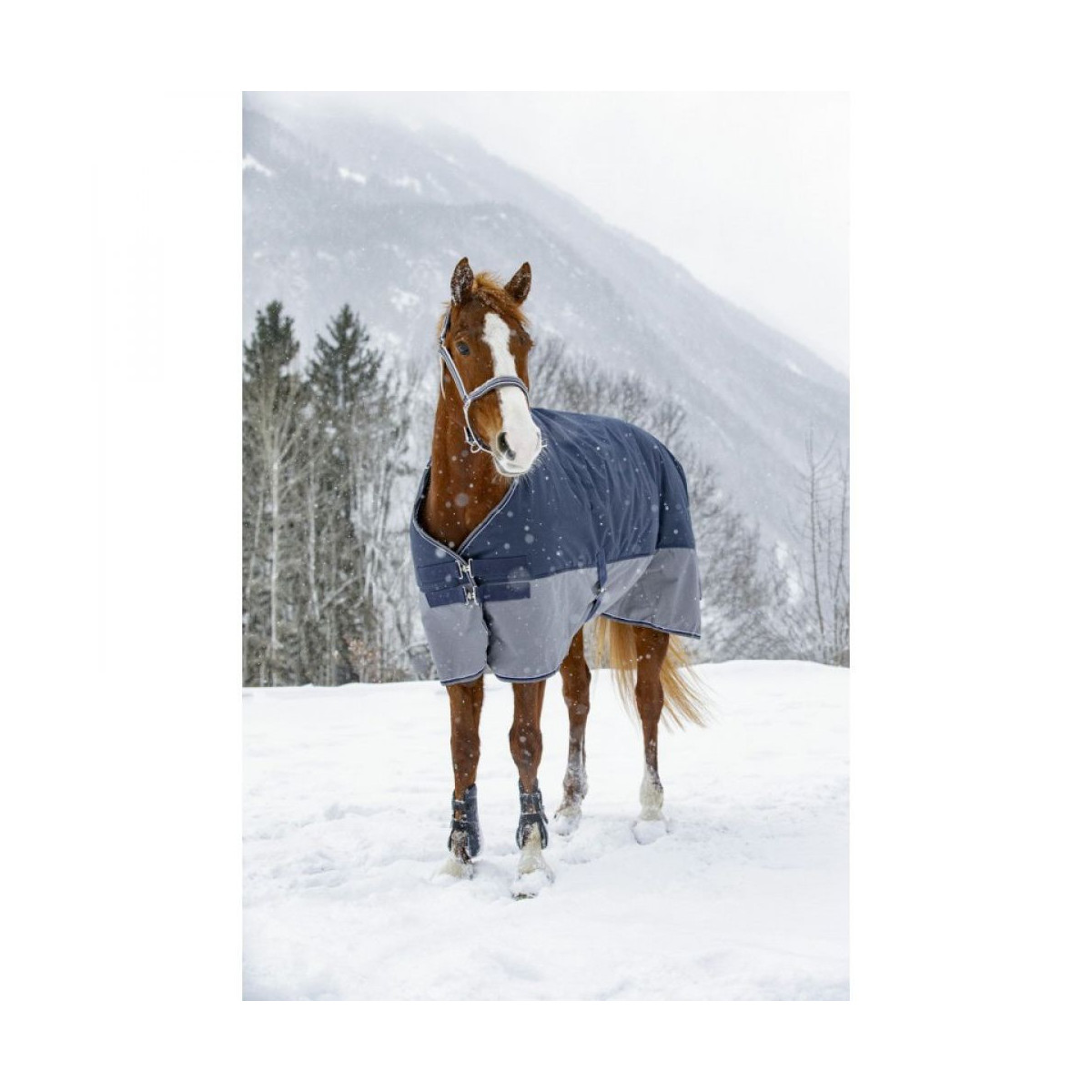 Couverture EQUITHÈME TYREX 600 D 300G