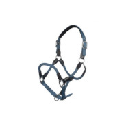 Licol carlotta Smokey blue